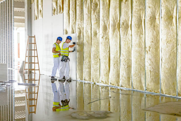 Best Residential Insulation in Summer Set, MO